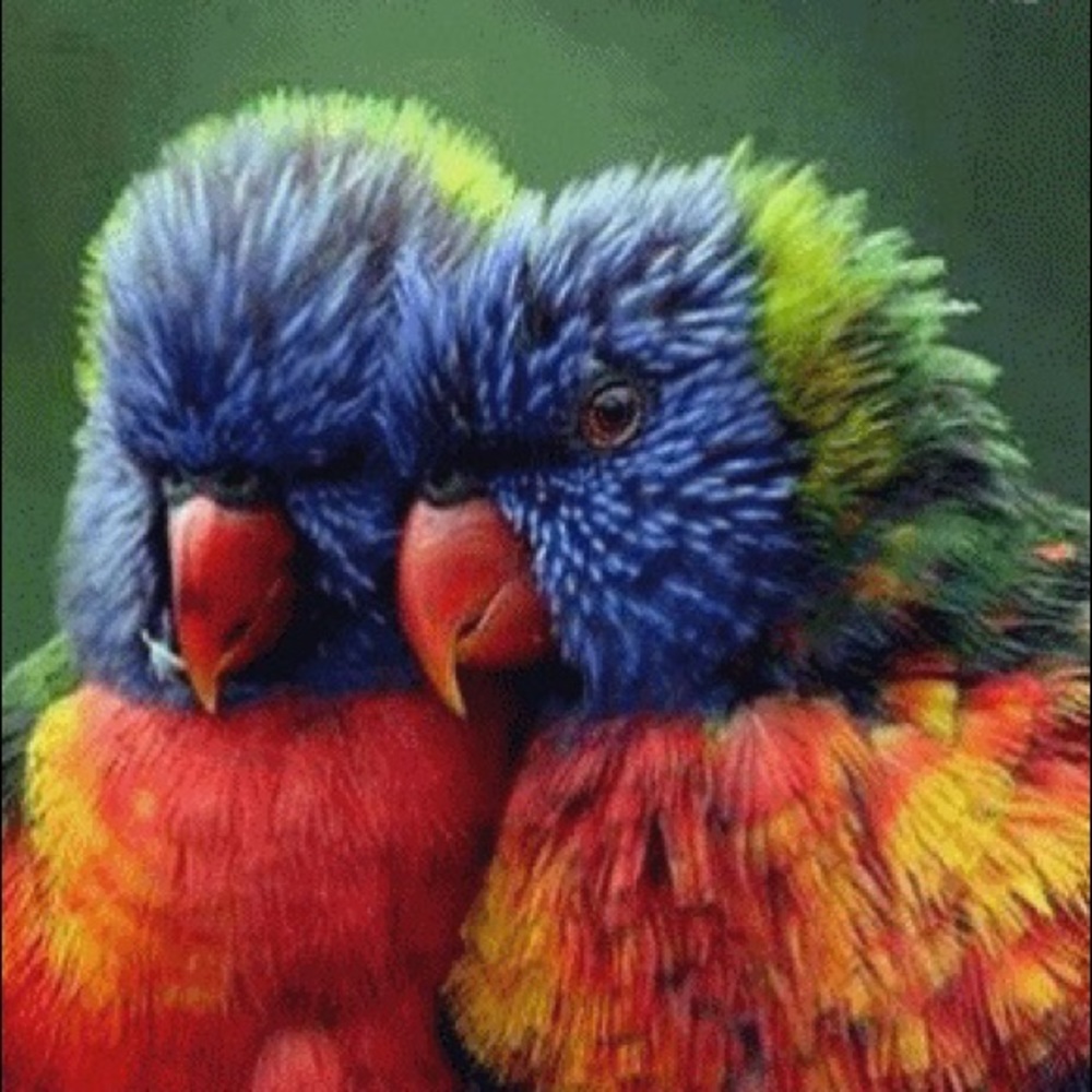 Meet your Posher, Griselda